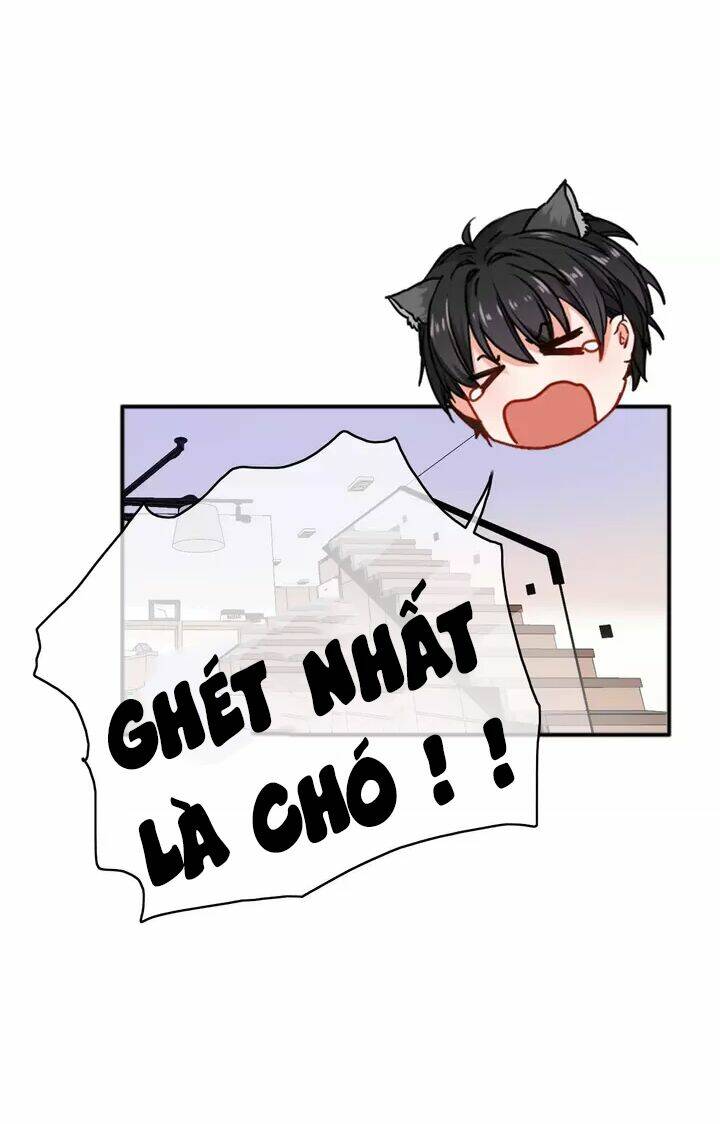 thập quang mật ngữ chapter 13 5