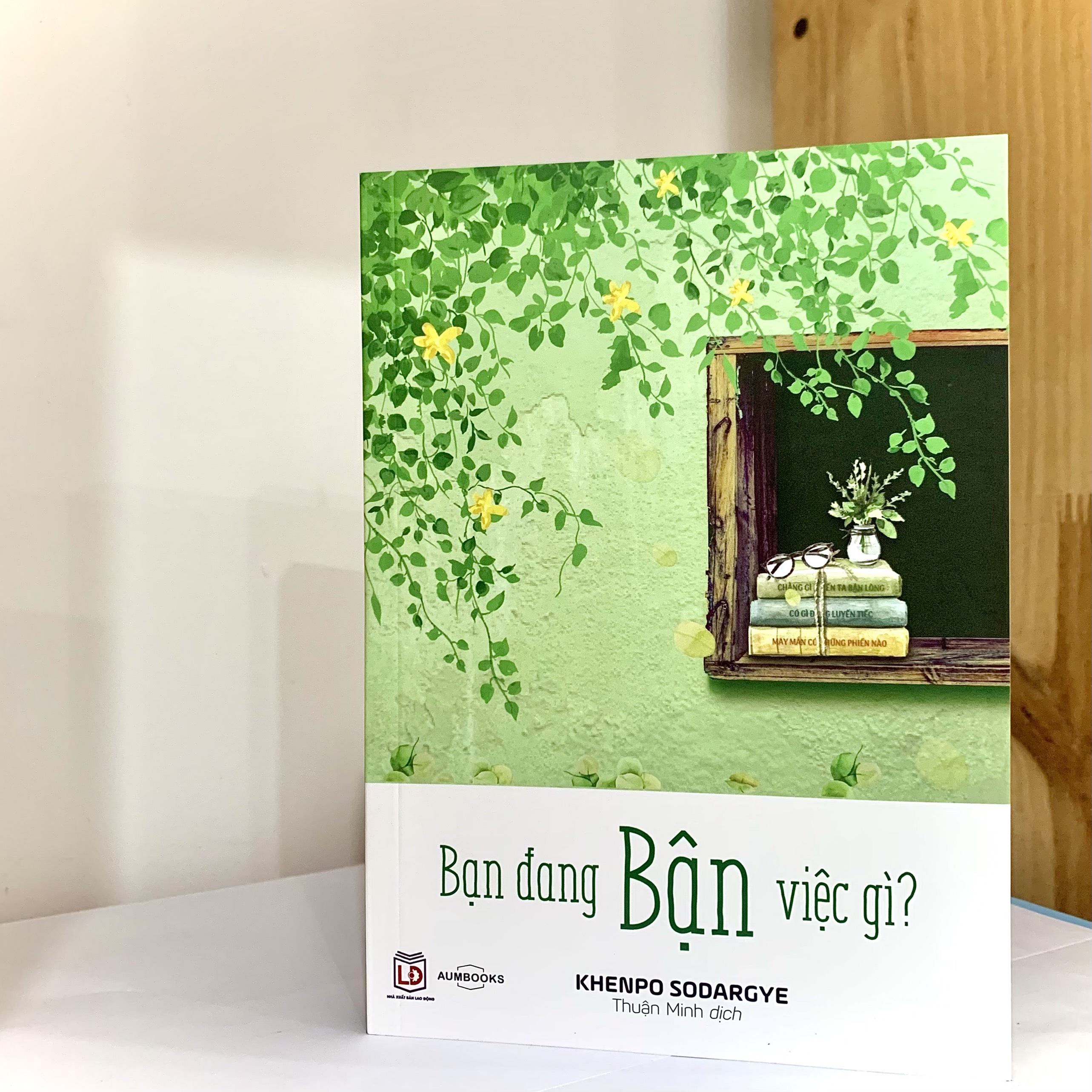 BỘ SÁCH "BẬN" ( Bạn Đang Bận Việc Gì Và Chẳng Gì Khiến Ta Bận Lòng ) - Sách Tôn Giáo, Nghệ Thuật Và Văn Hóa, Tác Giả KHENPO SODARGYE - Á Châu Books, bìa mềm, in màu