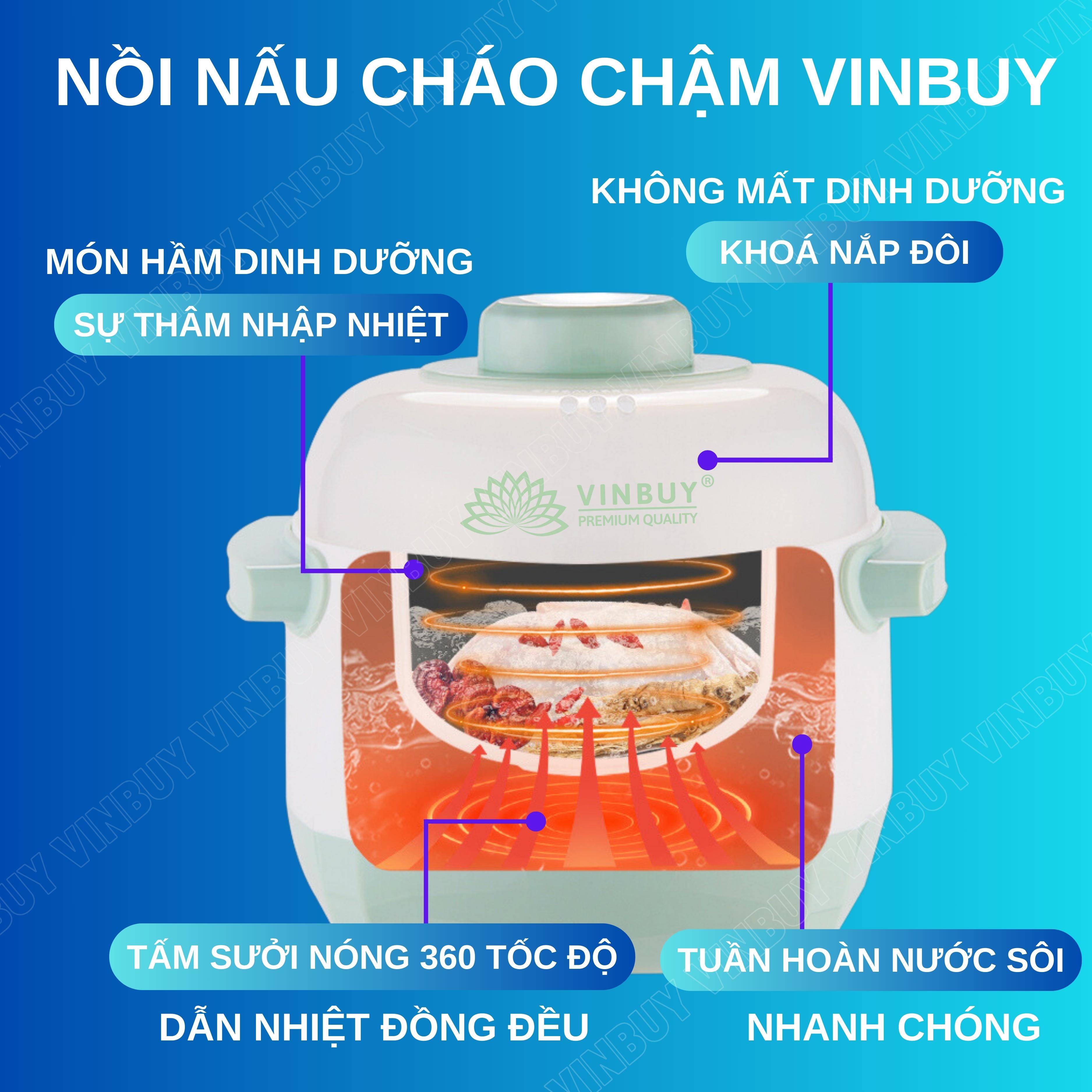 Nồi nấu cháo chậm VINBUY cho bé ăn dặm, nồi chưng yến, nồi tiềm thuốc bắc, nồi nấu chậm, dung tích 1 lít, công suất 200w - Hàng chính hãng