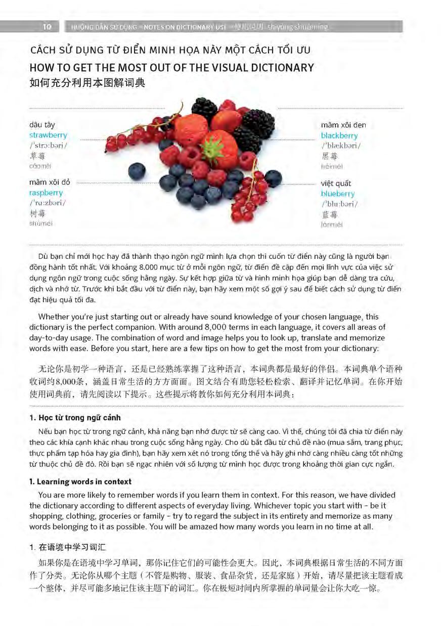 PONS GENERAL REFERENCE – TRILINGUAL VISUAL DICTIONARY Vietnamese–English–Chinese