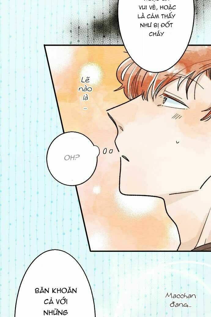 koe koi chapter 14 19