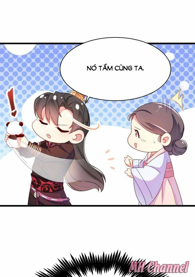 thiên thần gấu trúc muốn được ôm chapter 12 21