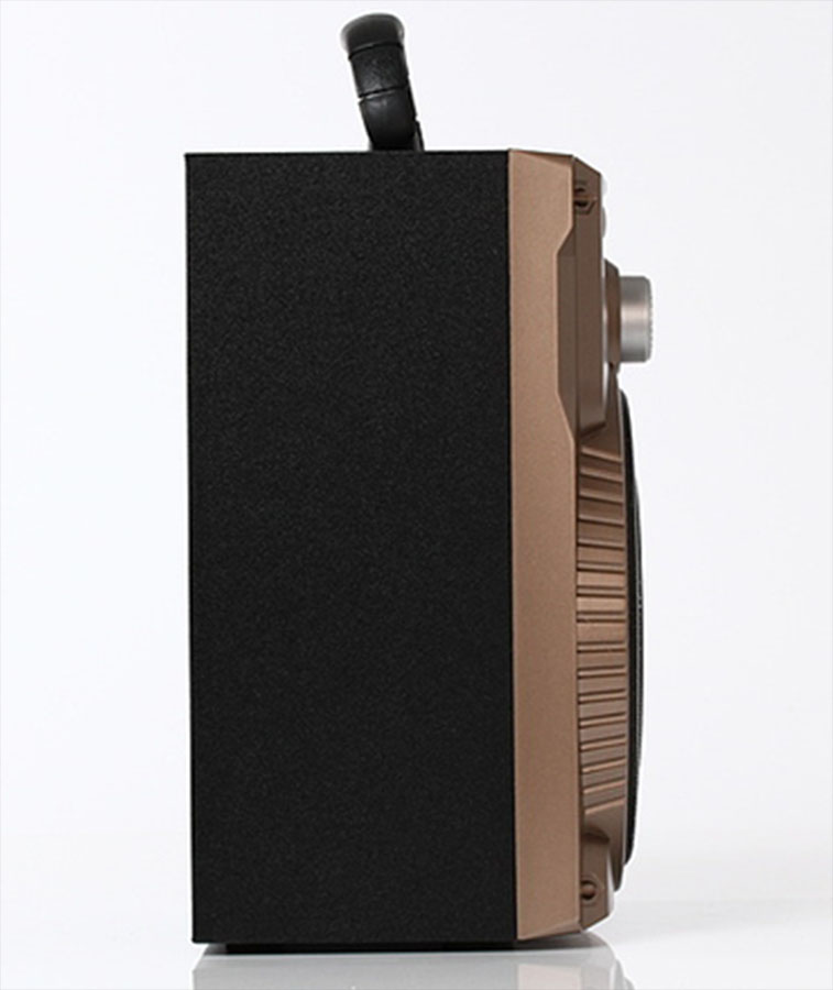 Loa Karaoke Bluetooth P88-P89 (Kèm Mic)