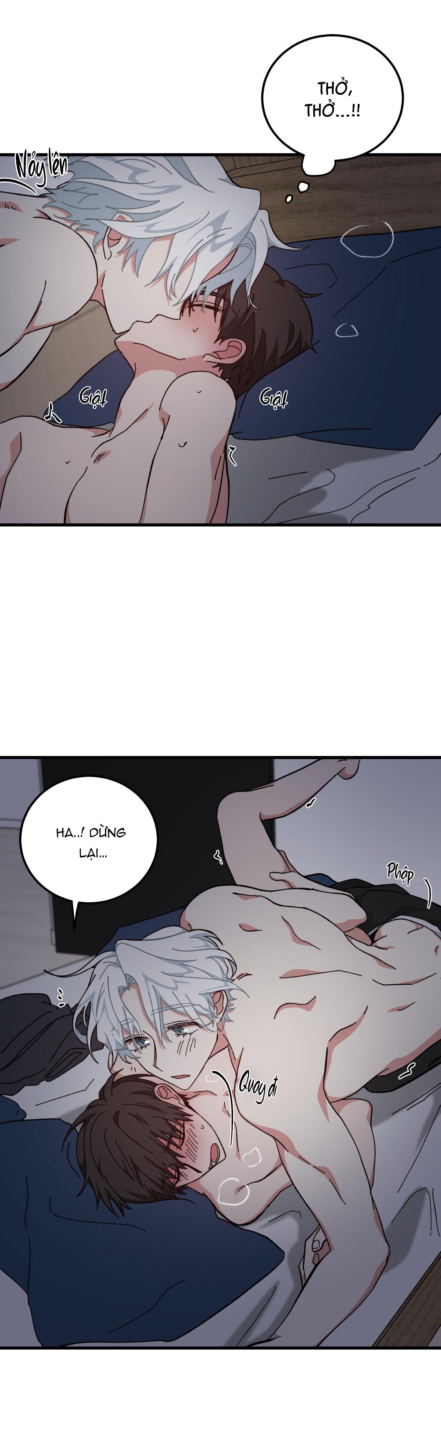 yêu tôi đi, thần hộ mệnh chapter 21 24