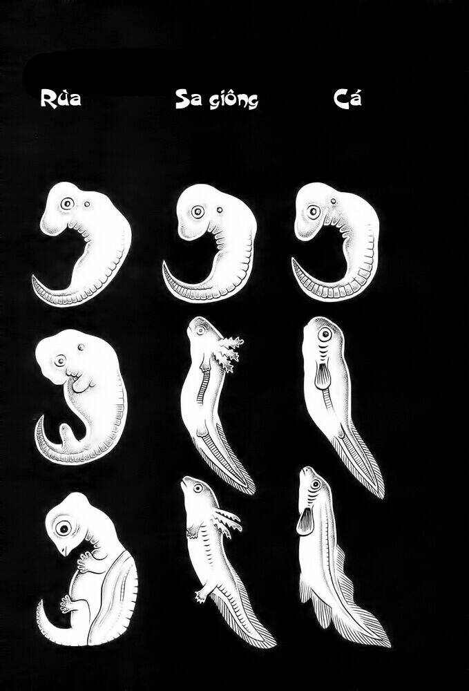 lullabies from hell chapter 2 14