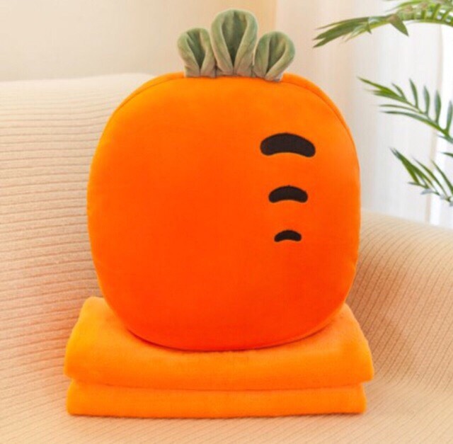 BỘ CHĂN GỐI 2IN1 HÌNH TRÁI CÂY CARROT