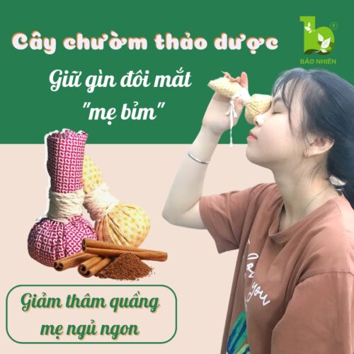 Cây Muối chườm mắt Thảo Dược 100gr - Giảm thâm quầng mắt , Thư giãn Bảo Nhiên