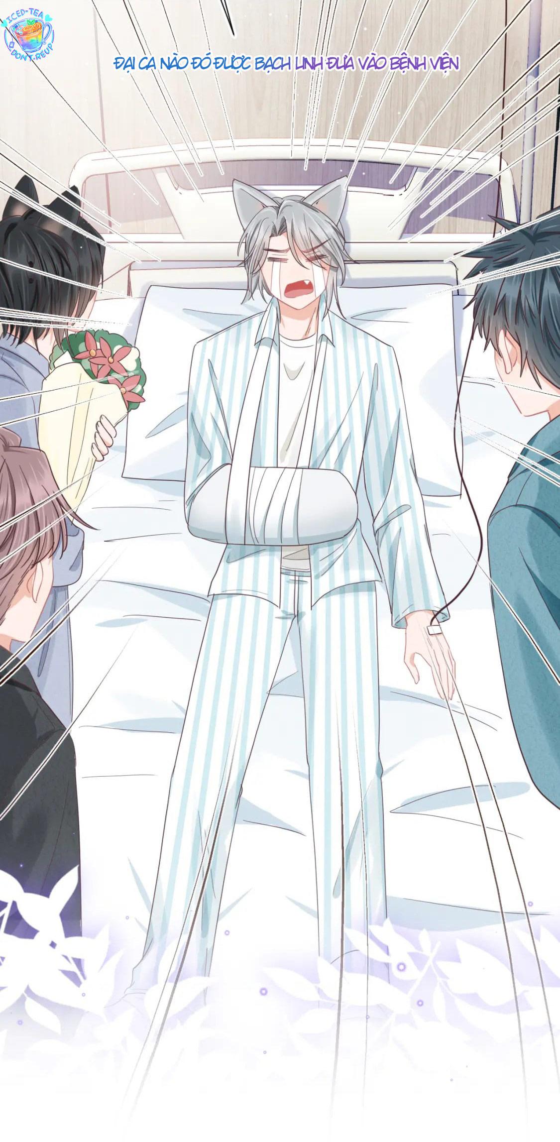 [ss2] một ngụm ăn cả thỏ con chapter 15 48