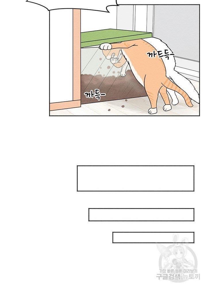 bốn cách cứu rỗi một người vợ chapter 1.2 6