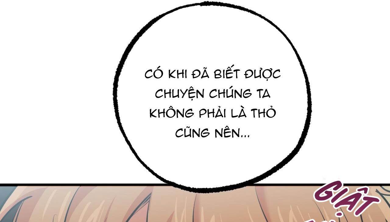 đàn thỏ của habibi chapter 35 112