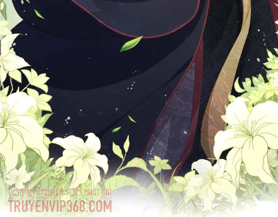 nhặt được bảo bối manh manh chapter 0 28