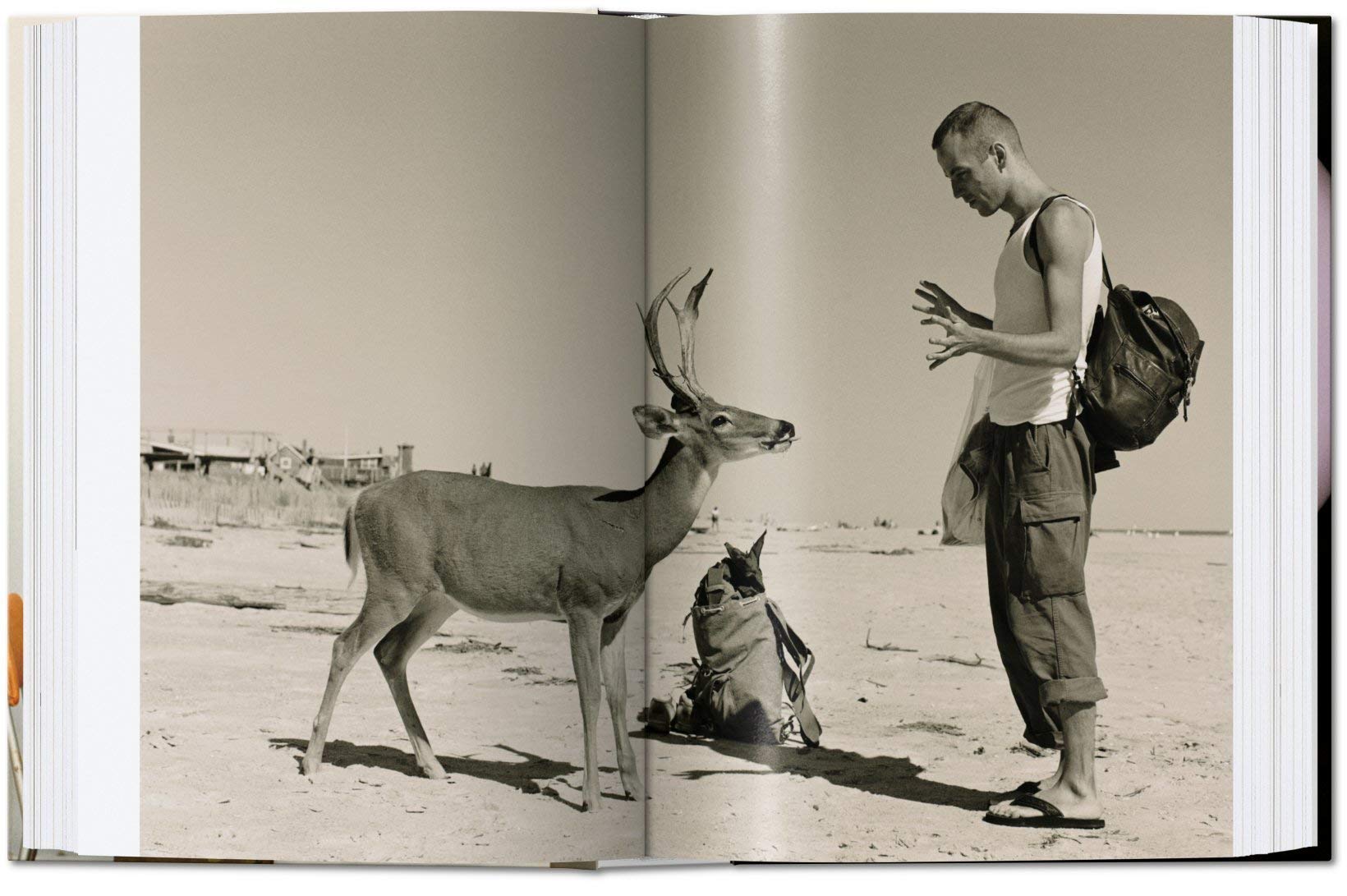 Sách ngoại văn: Wolfgang Tillmans. four books. 40th Ed