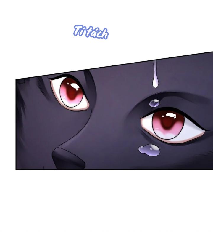 tổng tài bá đạo, đầu óc anh ấy có vấn đề chapter 1 21