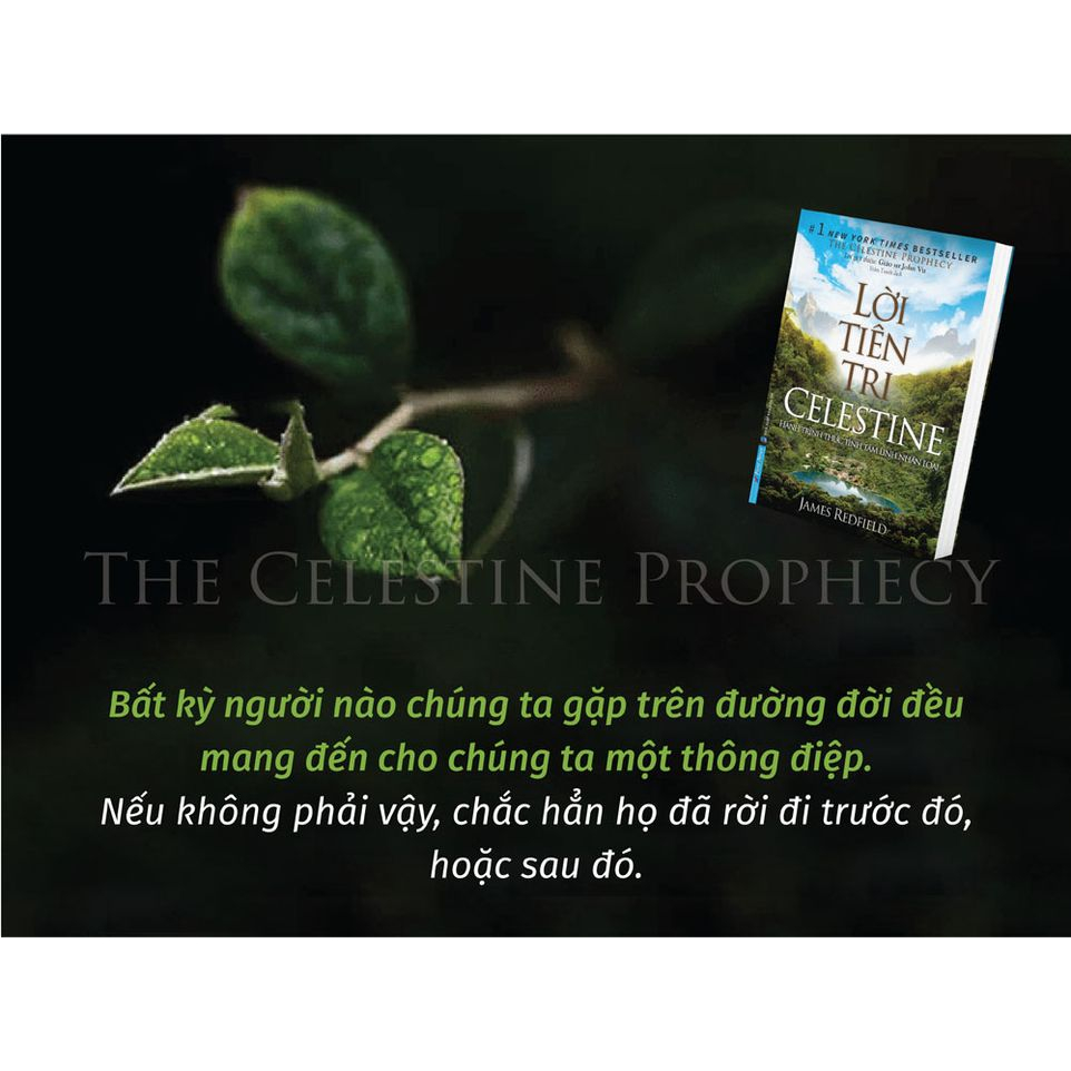 Sách - Lời Tiên Tri Celestine