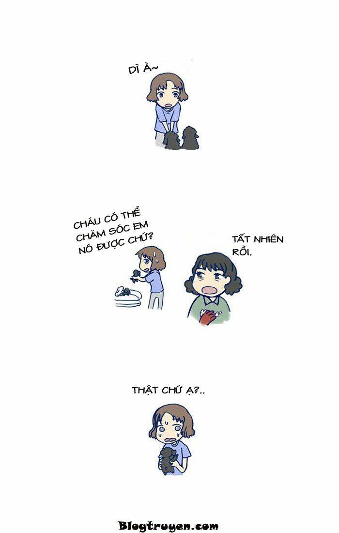 my kitty and old dog chapter 11 3