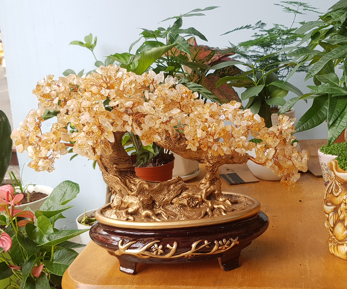 Cây Tài Lộc đá Thạch Anh vàng kiểu dáng bonsai nghiêng chiêu tài tấn lộc