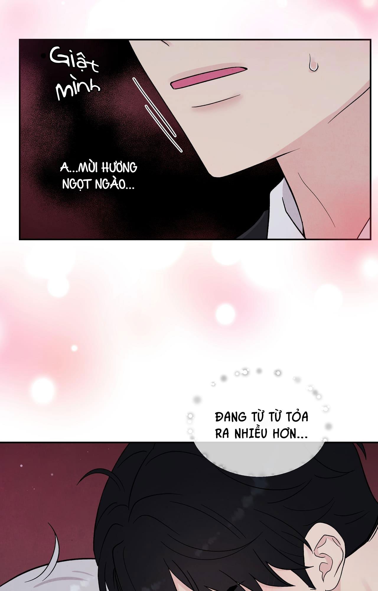 nếu không là định mệnh thì là gì? chapter 8 28