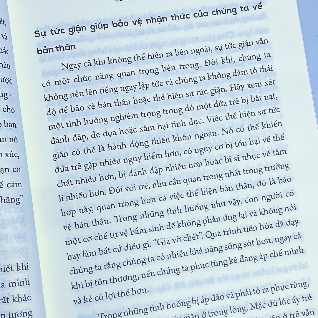 Sách Trẻ Cáu, Cha Mẹ Gắt - Hiểu Và Xử Lí Cơn Giận Trong Gia Đình