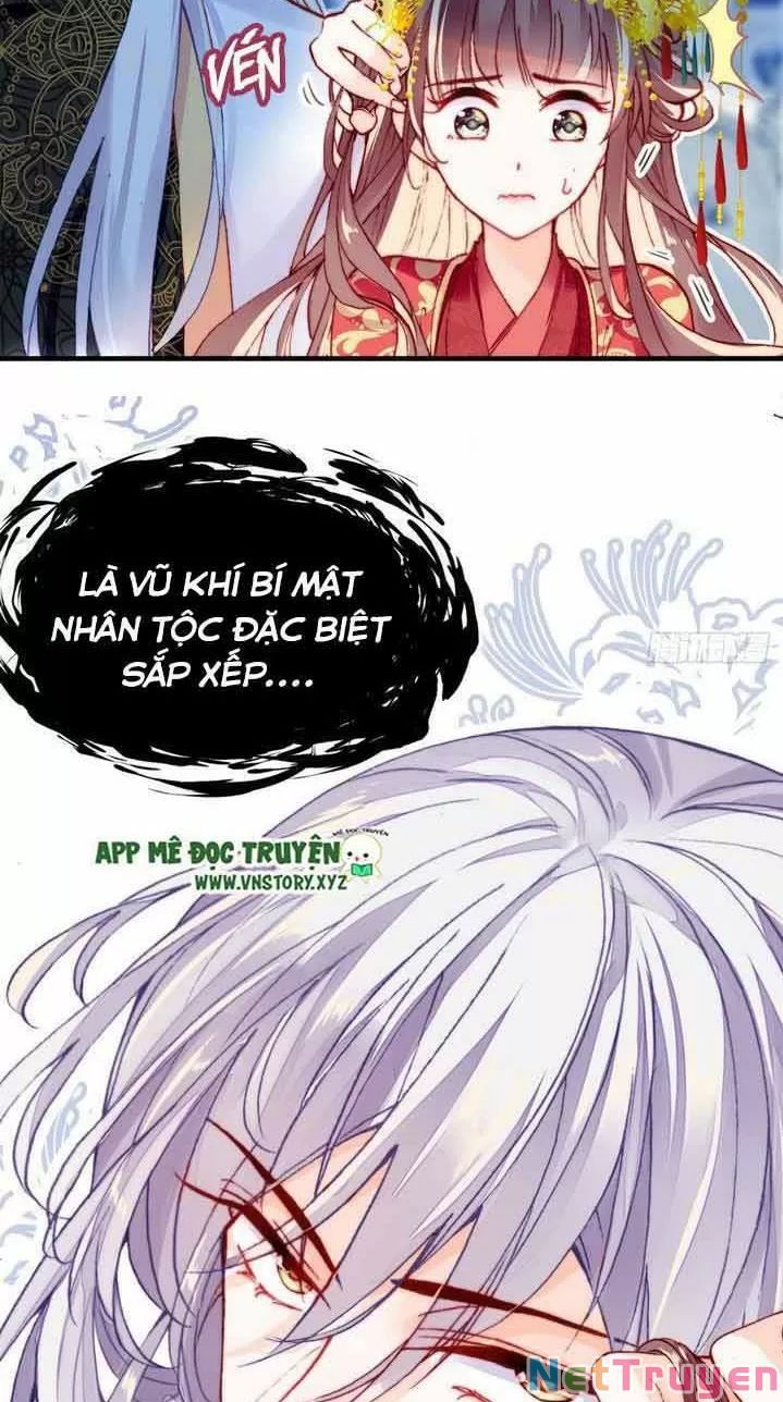 lại bị bệnh chiều chuộng quấn lấy chapter 4 12