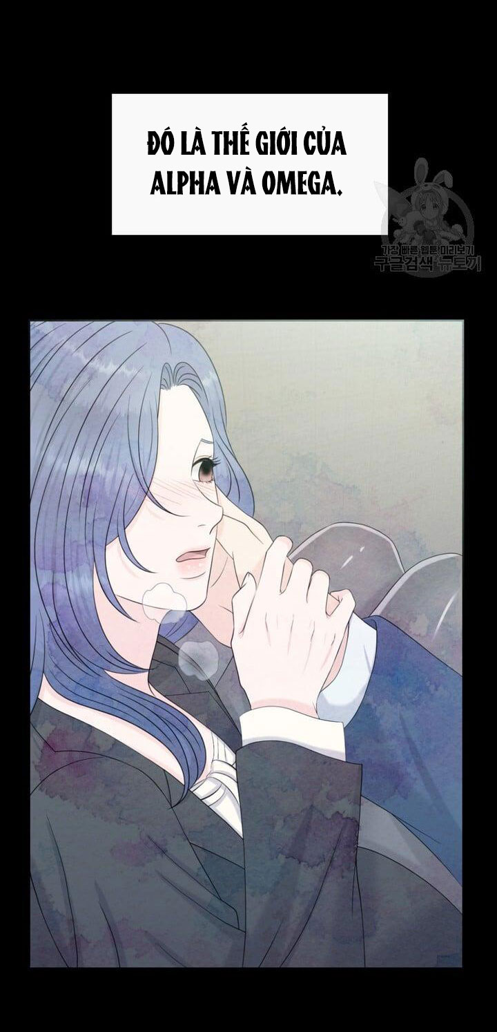 Em Sẽ Chọn Alpha Nào~ chapter 74.2 - Trang 9