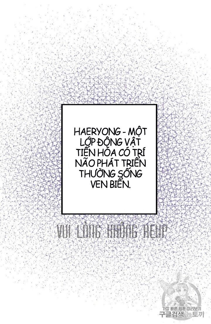 hôn lễ báo thù chapter 13 32