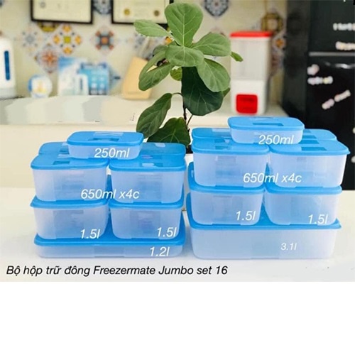 Bộ 16 Hộp Trữ Đông Thực Phẩm Jumbo Chất Nhựa Cao Cấp An toàn Thực Phẩm Và Sức Khỏe Người Dùng