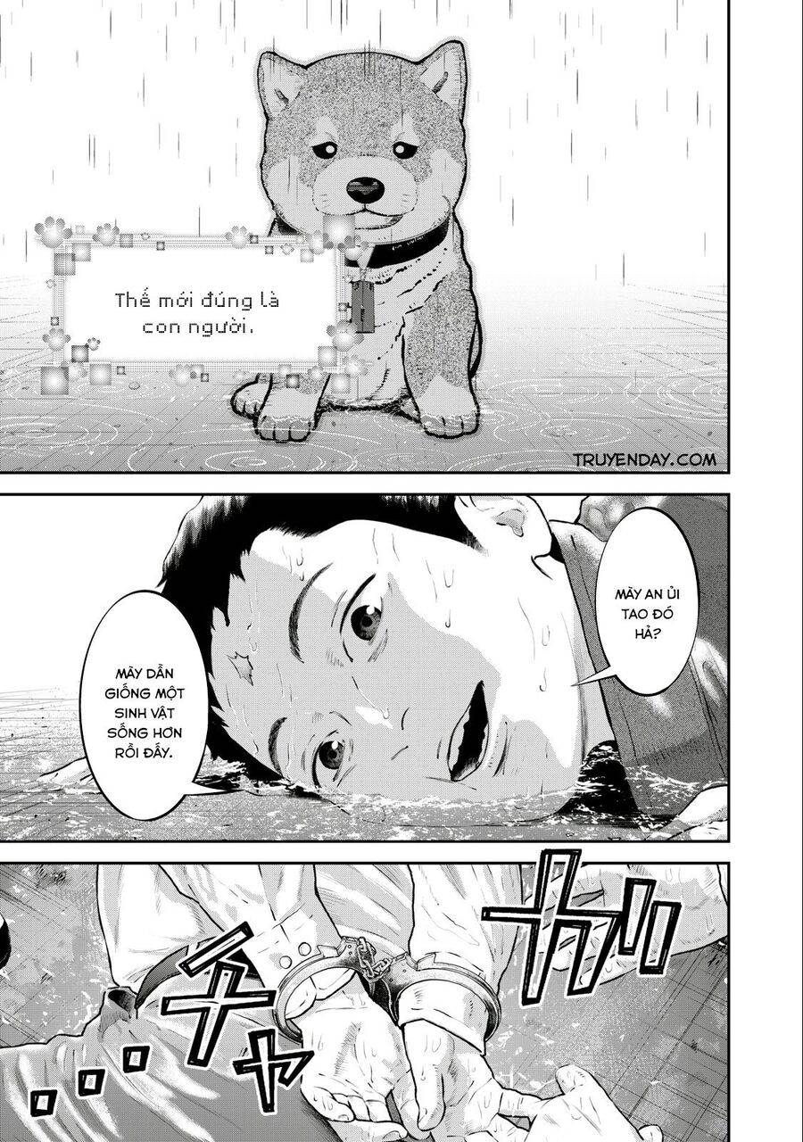 mật danh: nostra chapter 26 15