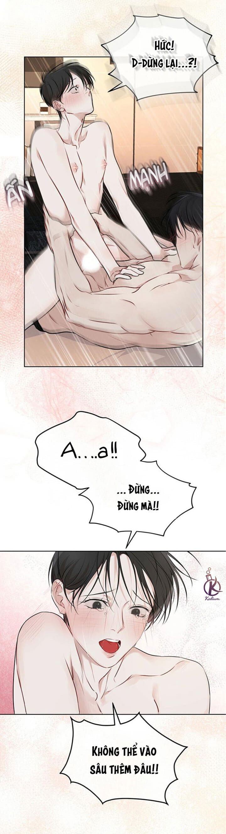 hình thái khởi sinh chapter 28 13