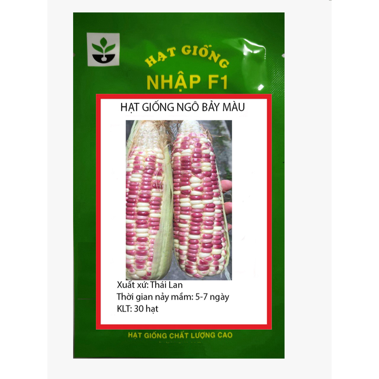 30 hạt giống ngô nếp nhiều màu