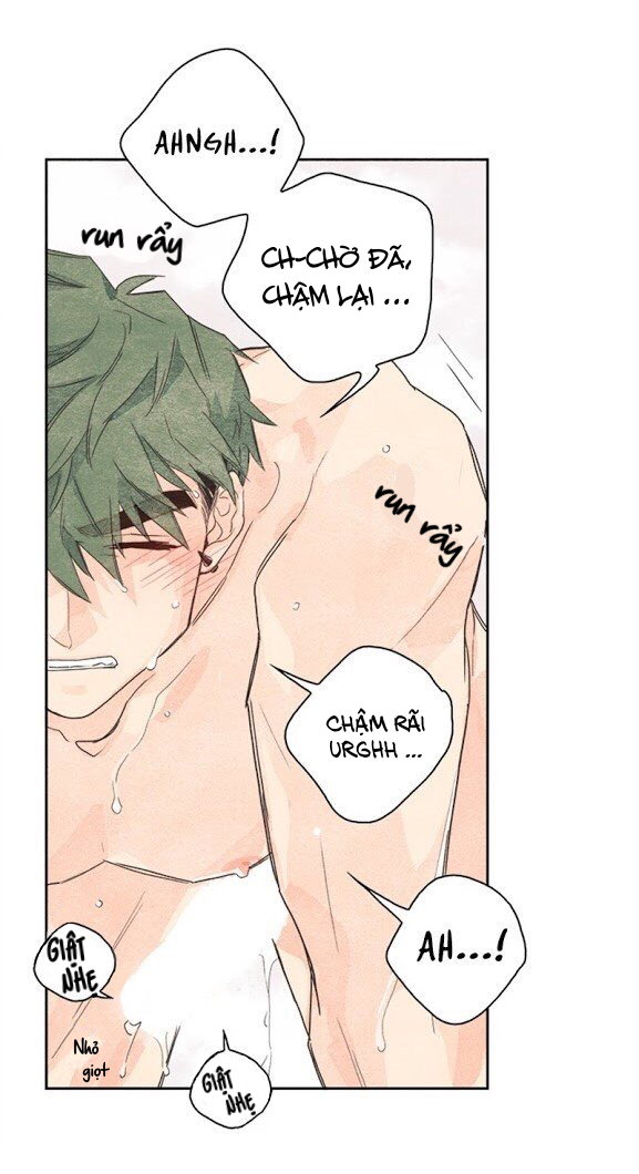 bắp cải bên dưới củ cải chapter 3 32