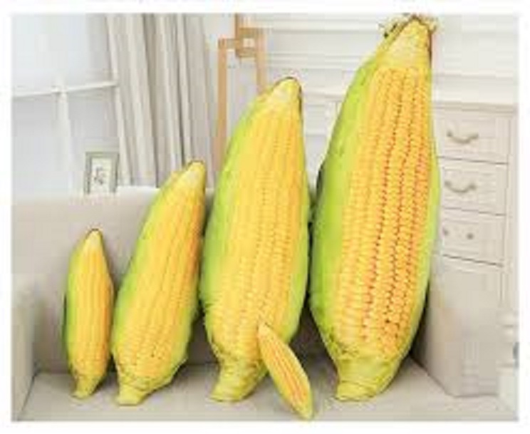 Gối ôm hình trái bắp ngô