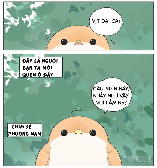 sẻ chiếu mới và nhạn phong sương chapter 7 2