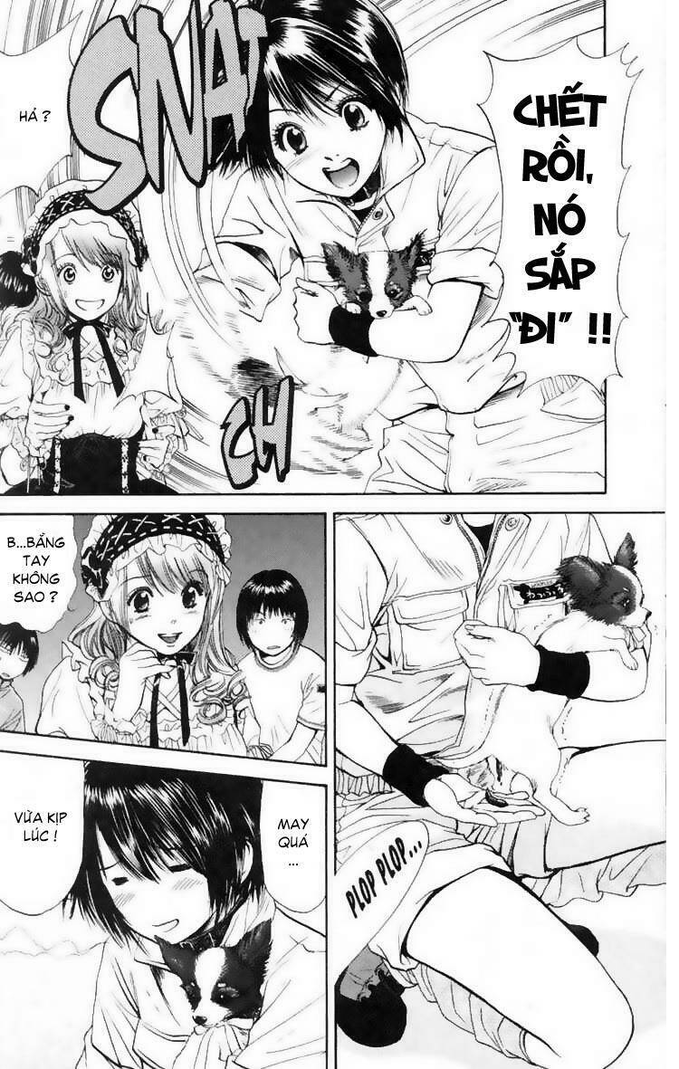 cô nàng yêu chó chapter 13 10