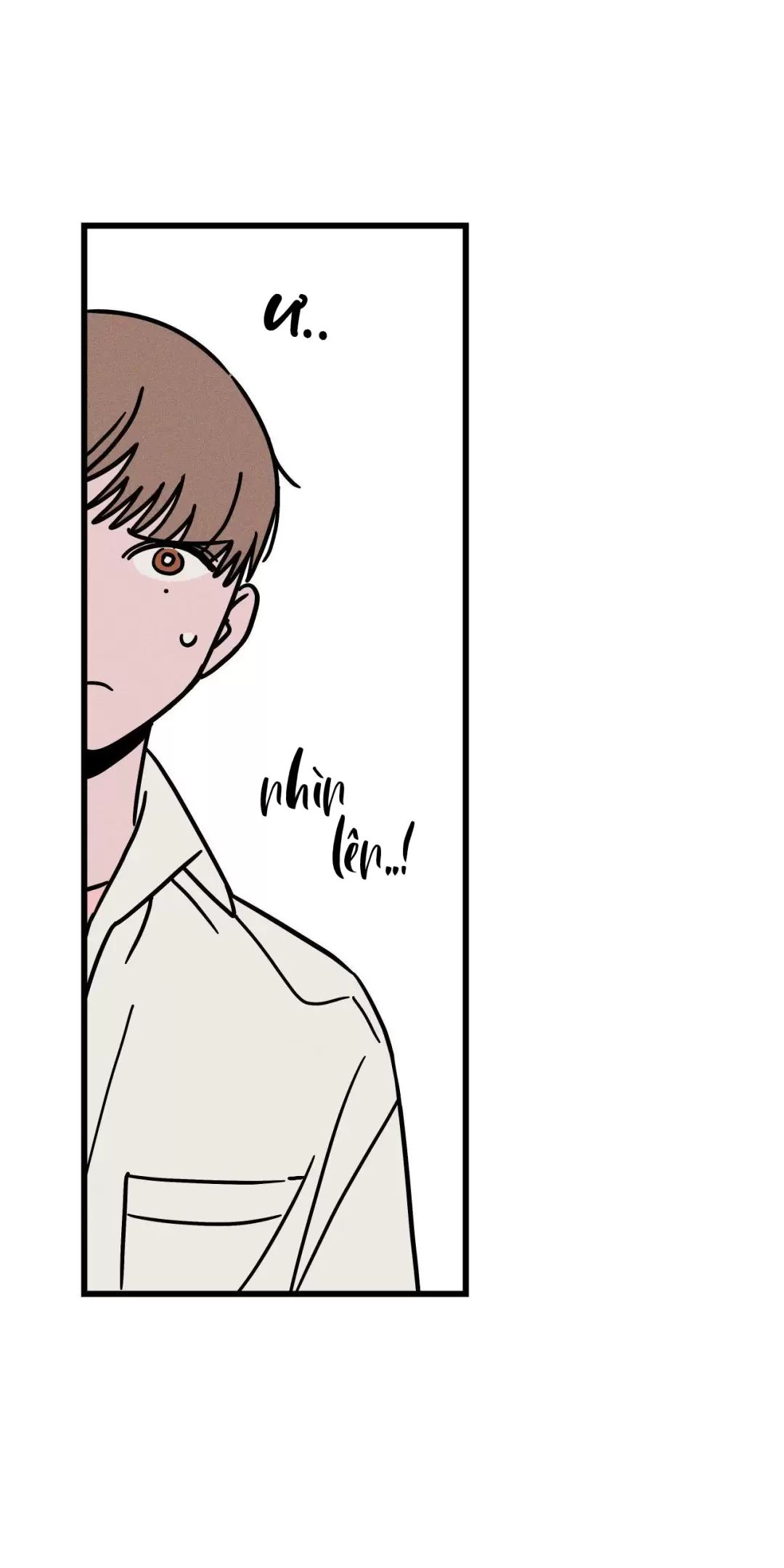 lời tỏ tình từ con số 0 chapter 31 39