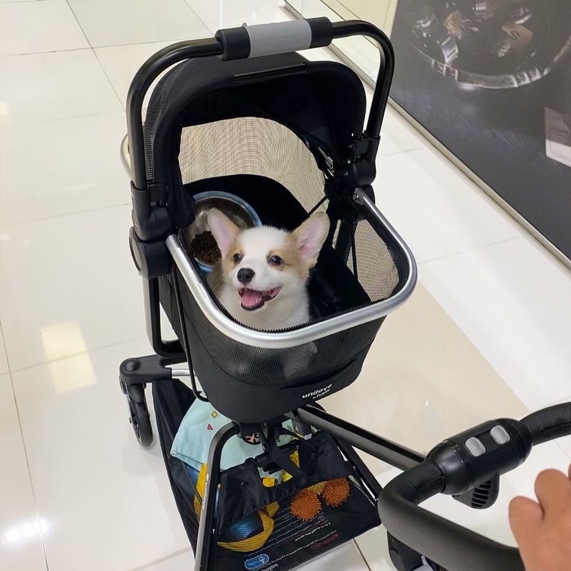 Unilove Bộ chuyển đổi lồng đựng thú cưng xe đẩy On The Go