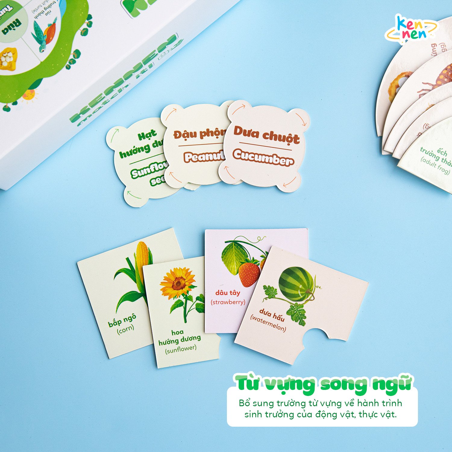 Kennen Match it - Puzzle học chữ và đánh vần Tiếng Việt 5in1 và học các Kỹ năng sống, Vòng đời của sự sống - Dành cho bé từ 3 tuổi
