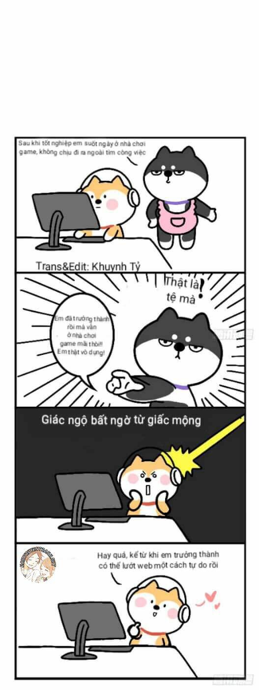 anh em shiba chapter 11 2