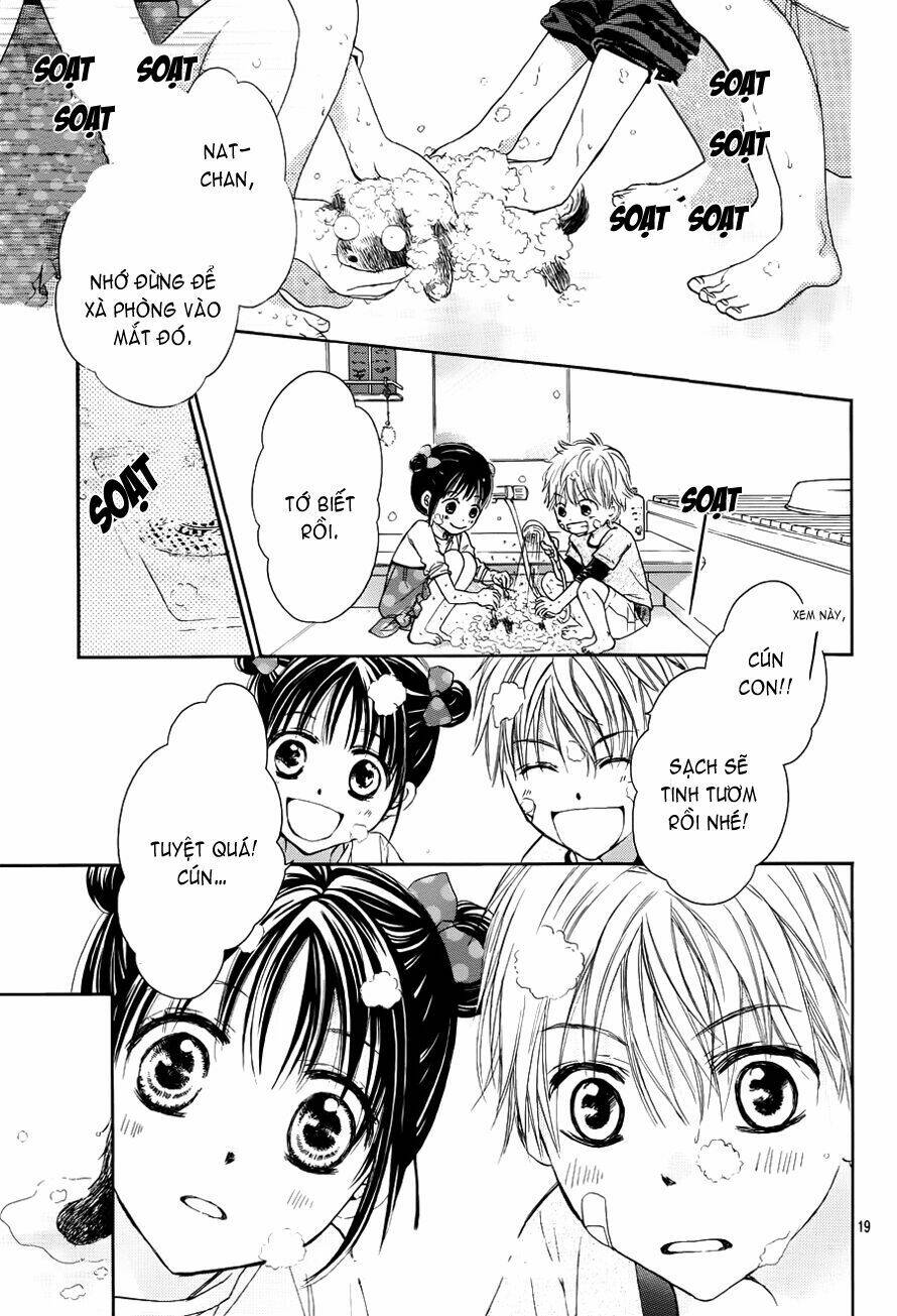 hachimitsu ni hatsukoi chapter 3.5 20