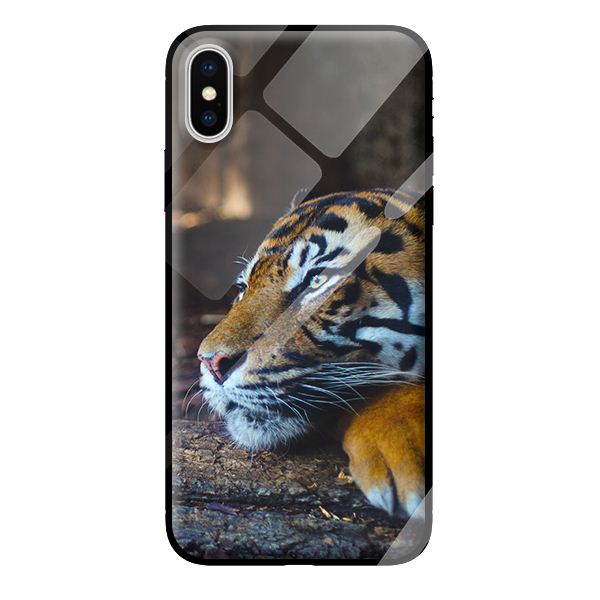 Ốp kính cường lực cho iPhone XS mèo 27 - Hàng chính hãng