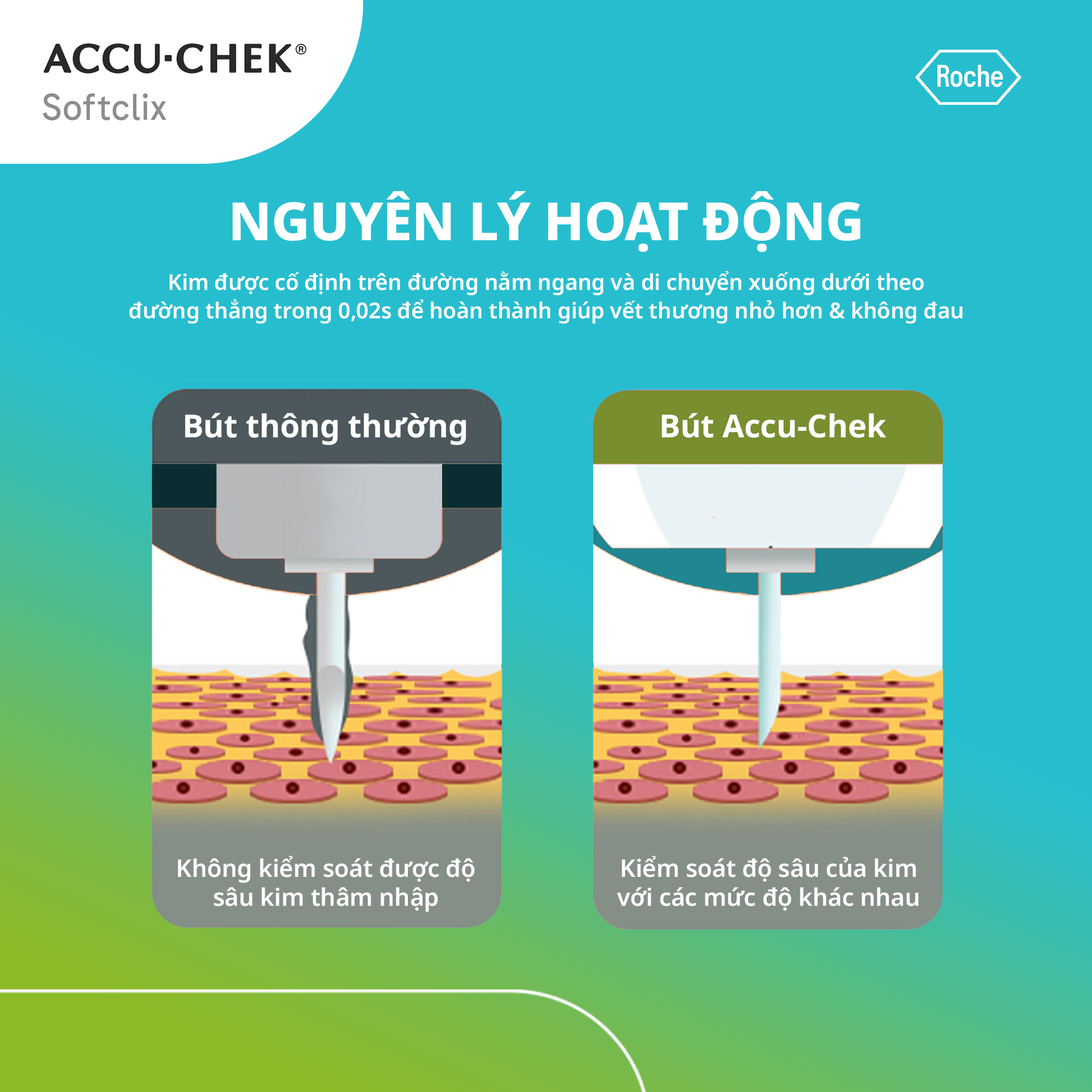 Hộp 25 Kim Chích Máu ACCU-CHEK SoftClix Dùng Cho Máy ACCU-CHEK Active & Instant