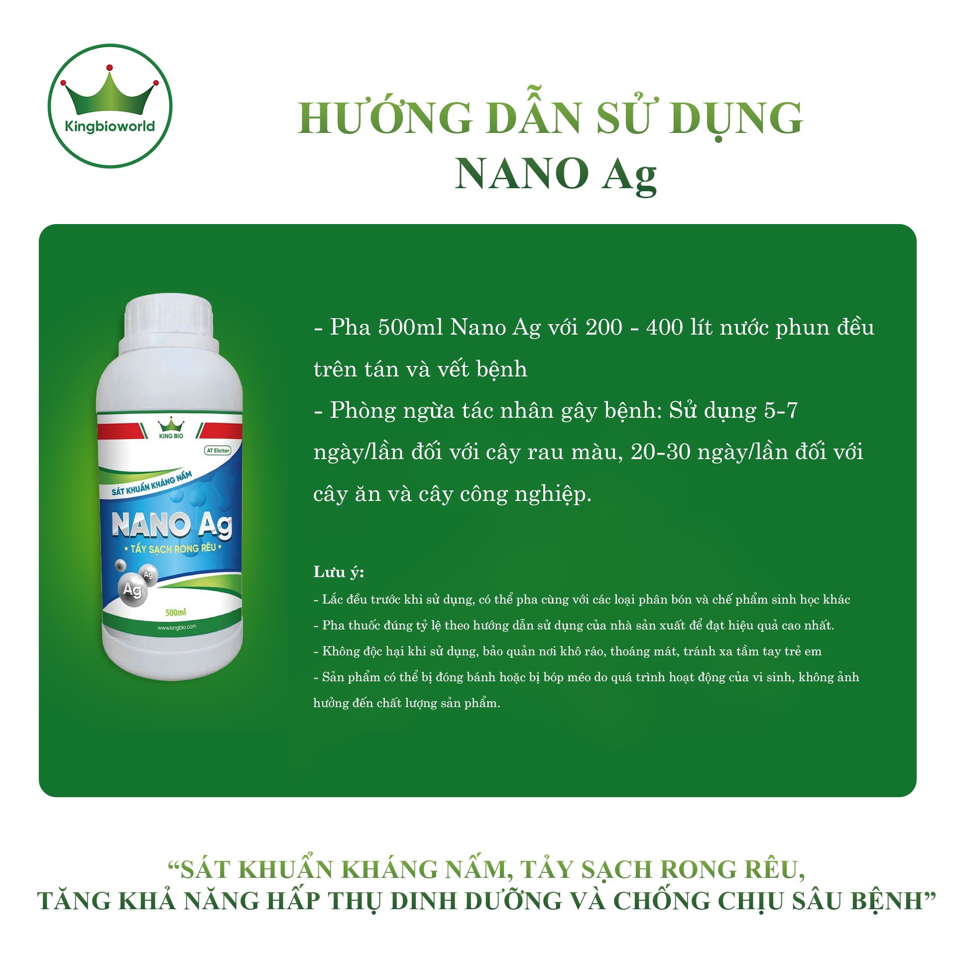 King Nano Ag - Nano sát khuẩn kháng nấm, Tảy sạch rong rêu, tăng khả năng hấp thụ dinh dưỡng và chống chịu sâu bệnh
