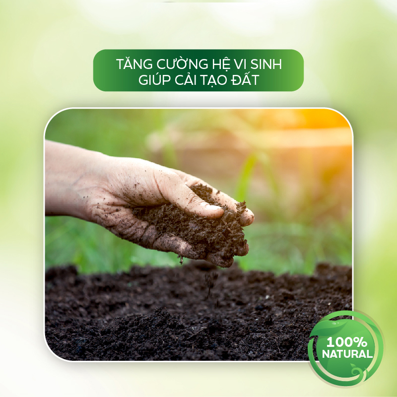 Nấm ủ Trichoderma AT ủ phân hữu cơ vi sinh siêu nhanh, ủ vỏ cà phê, tưới cải tạo đất 1kg tăng cường vi sinh vật có lợi