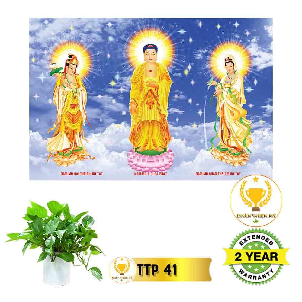 Tranh điện Tam Thế Phật_TTP4