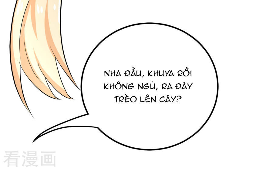 từ đây vương gia không thượng triều sớm chapter 16 47