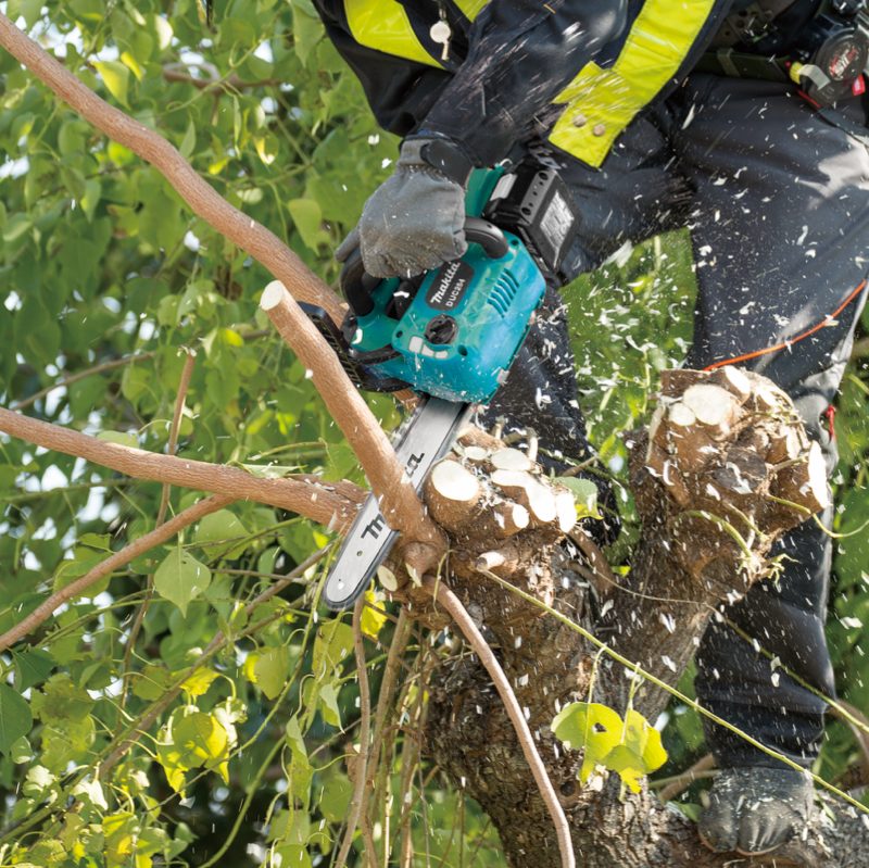 Máy Cưa Makita Máy cưa xích MAKITA DUC254Z 250MM (