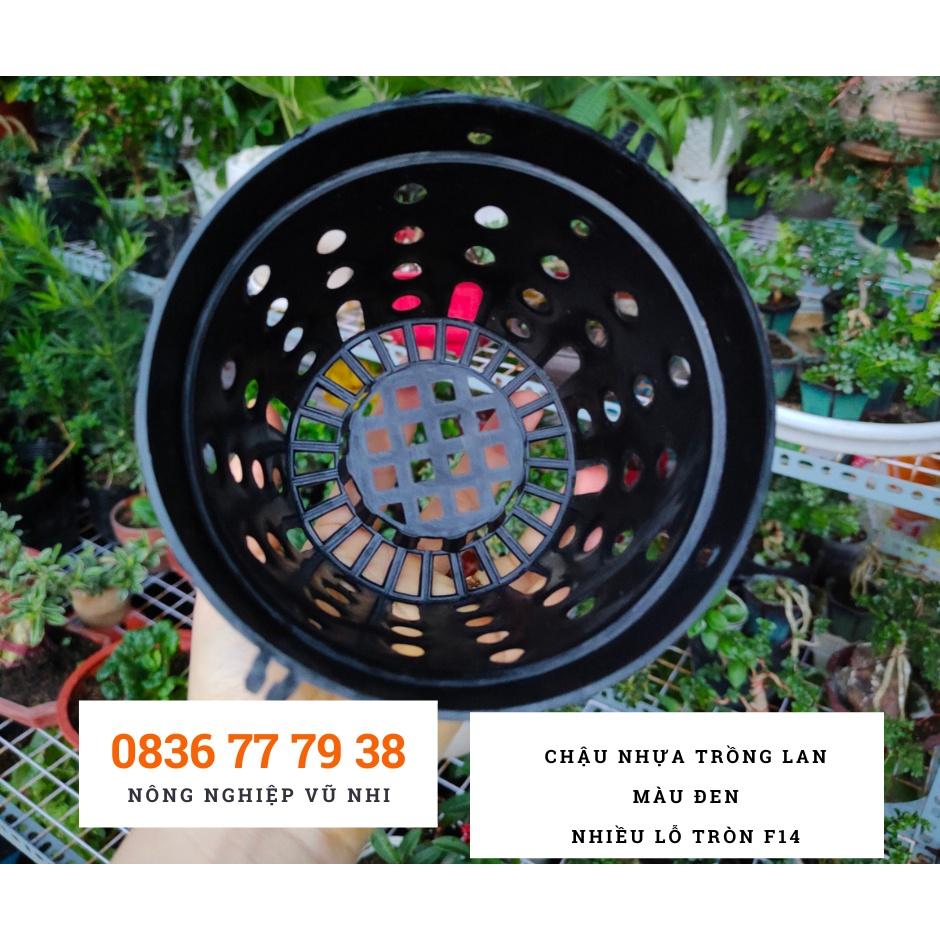 Chậu nhựa trồng lan màu đen nhiều lỗ tròn F14