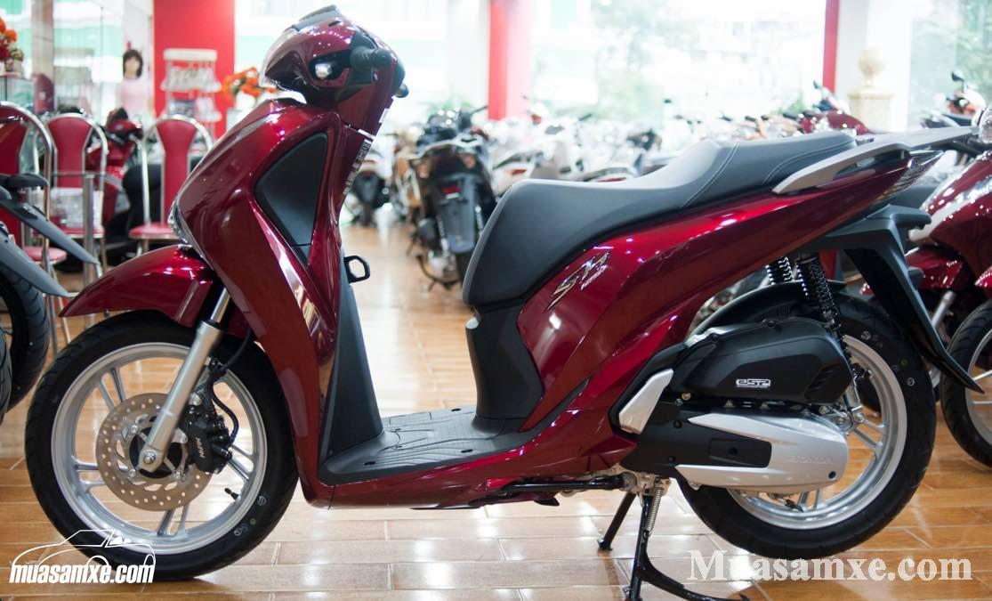 ỐP BẦU E DÙNG CHO XE SH 2017 2018 2019 CACBON