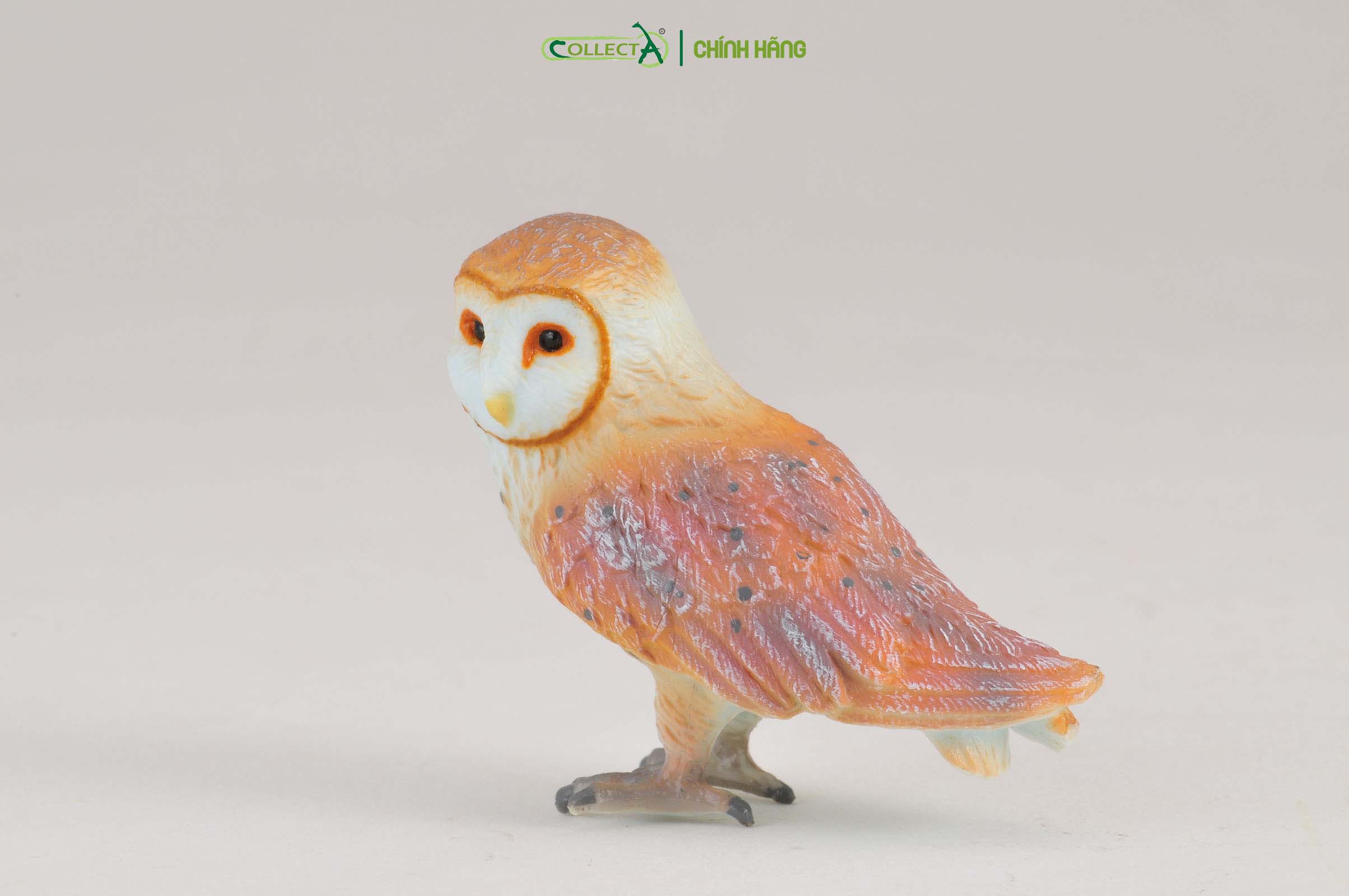 Mô hình thu nhỏ: Cú Lợn Lưng Xám - Barn Owl, hiệu: CollectA, mã HS 9651380 - Chất liệu an toàn cho trẻ - Hàng chính hãng