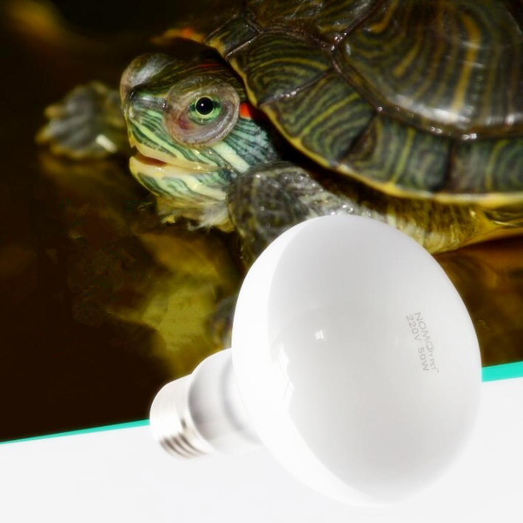 2 pcs 50W/75W Tortoise Reptile Vivarium Light UVA Basking Lamp Heat Bulb