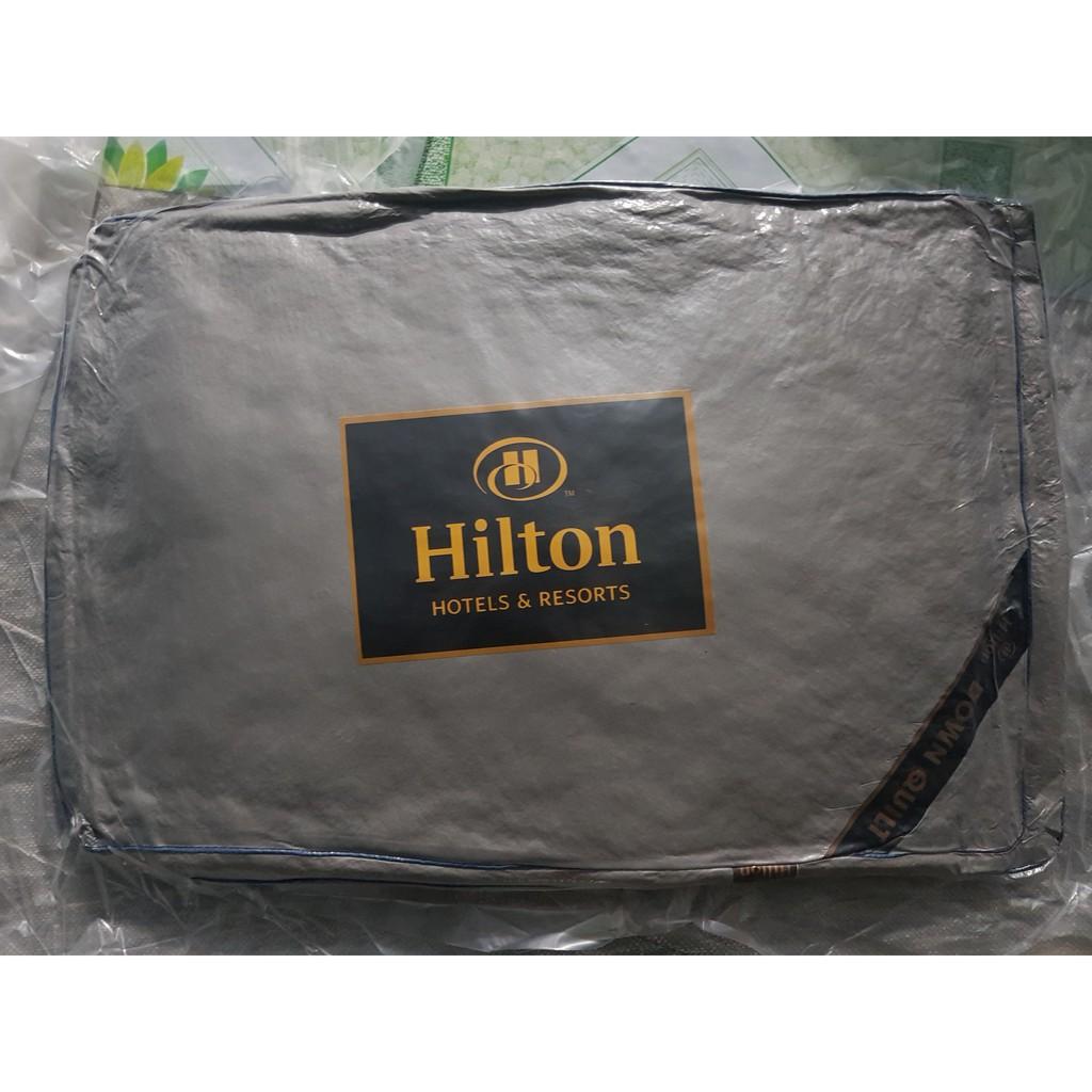 Ruột gối HILTON (1 SET 1 ĐÔI)